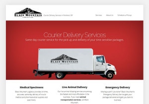 Black Mountain Logistics Website by Stellar Nine