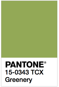 Greenery - Pantone 15-0343 TCX