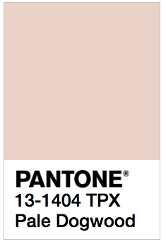 Pale Dogwood - Pantone 13-1404 TPX