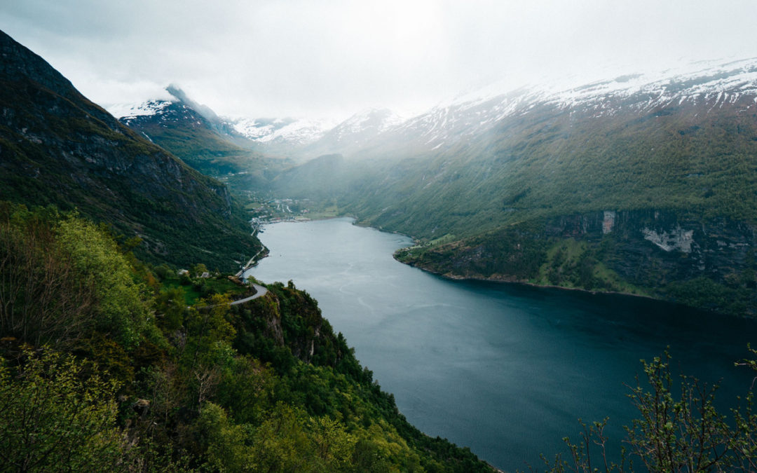 Free Stock Photography